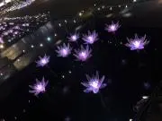 朔の画像