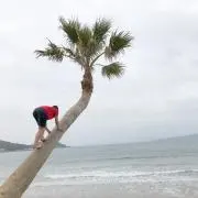 ユメコ