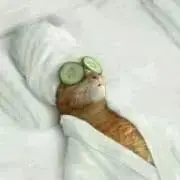 だんごまんじゅうの画像