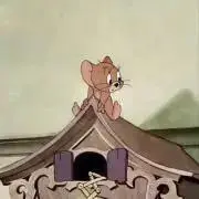 MK