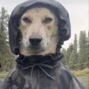 eee