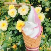 momoの画像