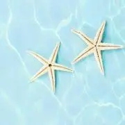 ☆Smile☆の画像