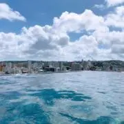 ひなの画像