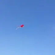 みどり