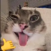 ヴォ タイン ティエン