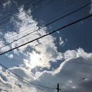HIの画像