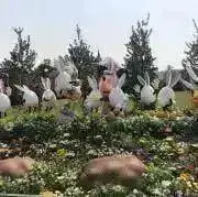 えり