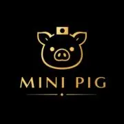 Mini Pigの画像