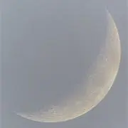 sumaの画像