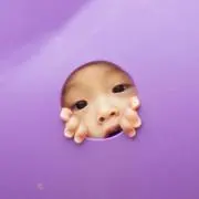 HoneeBee