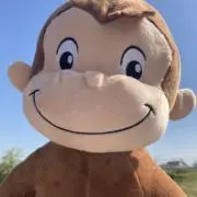 ゆいの画像