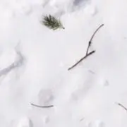 断捨離中の画像