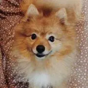 nanaの画像