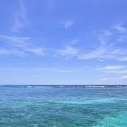 リーマンXの画像