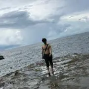 理系総合大学学生