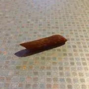スピードスター