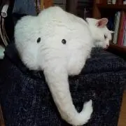 gyokujyo