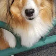 やまだ（プロフィールご確認ください）の画像