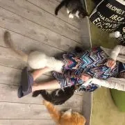 まぁちゃんの画像