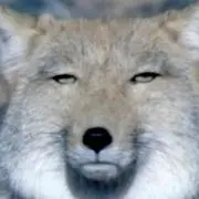 まり