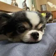 ナオ