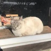 ウリたろう