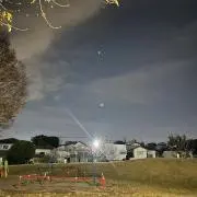 スズえの画像