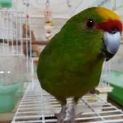 ⭐️ユミ♥️の画像