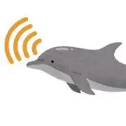 わたの画像