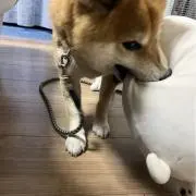 そらの画像
