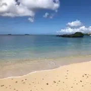 さちゅんの画像