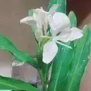 youの画像