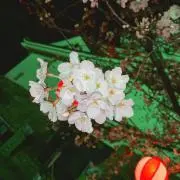 愛架