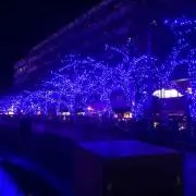 みかんの画像