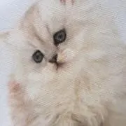 yuki⛄️