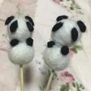 family5nabeの画像