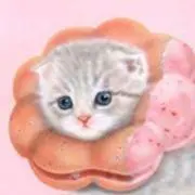 のんの画像