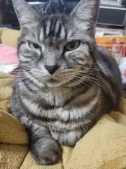 くみりりん(プロフィール必ず観てください