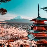 m AM10時までに注文当日発送の画像