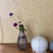 tomの画像