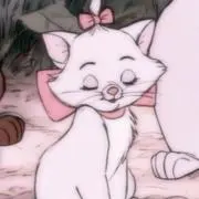 あちゃんの画像
