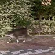 めの画像