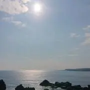 ゆっこの画像