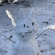 はるの画像