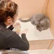 yamp♡ 即購入OK♡コメント無しOKの画像