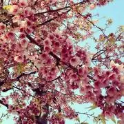 ミク❣️