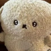 るるの画像