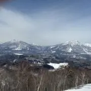 しいはの画像