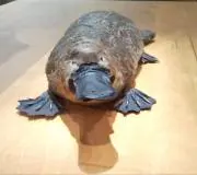 monohaの画像